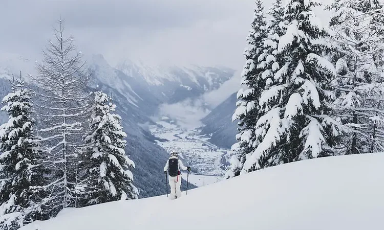 Freeride